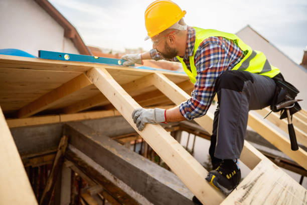 Roof Gutter Cleaning in Napoleon, OH