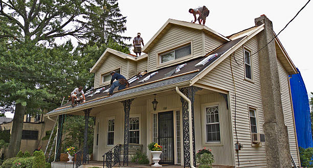 Best Slate Roofing Contractor  in Napoleon, OH